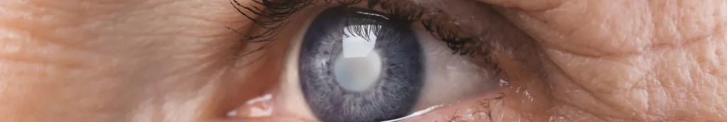 Diagnostik